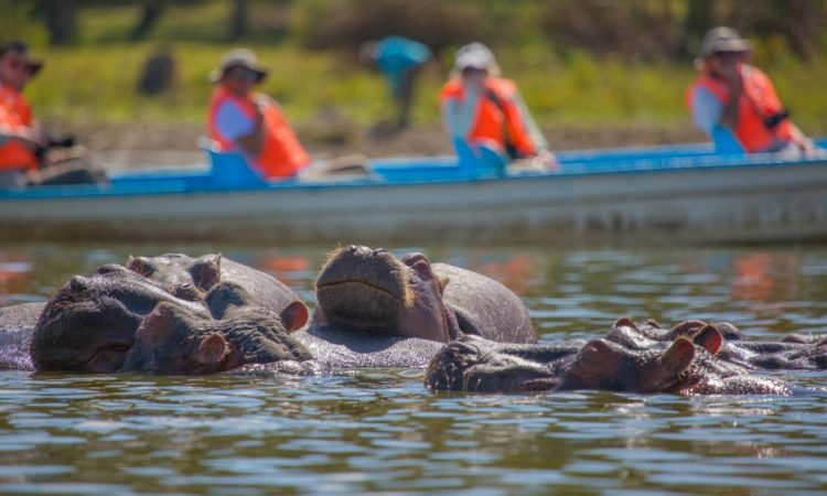 Lake Naivasha
